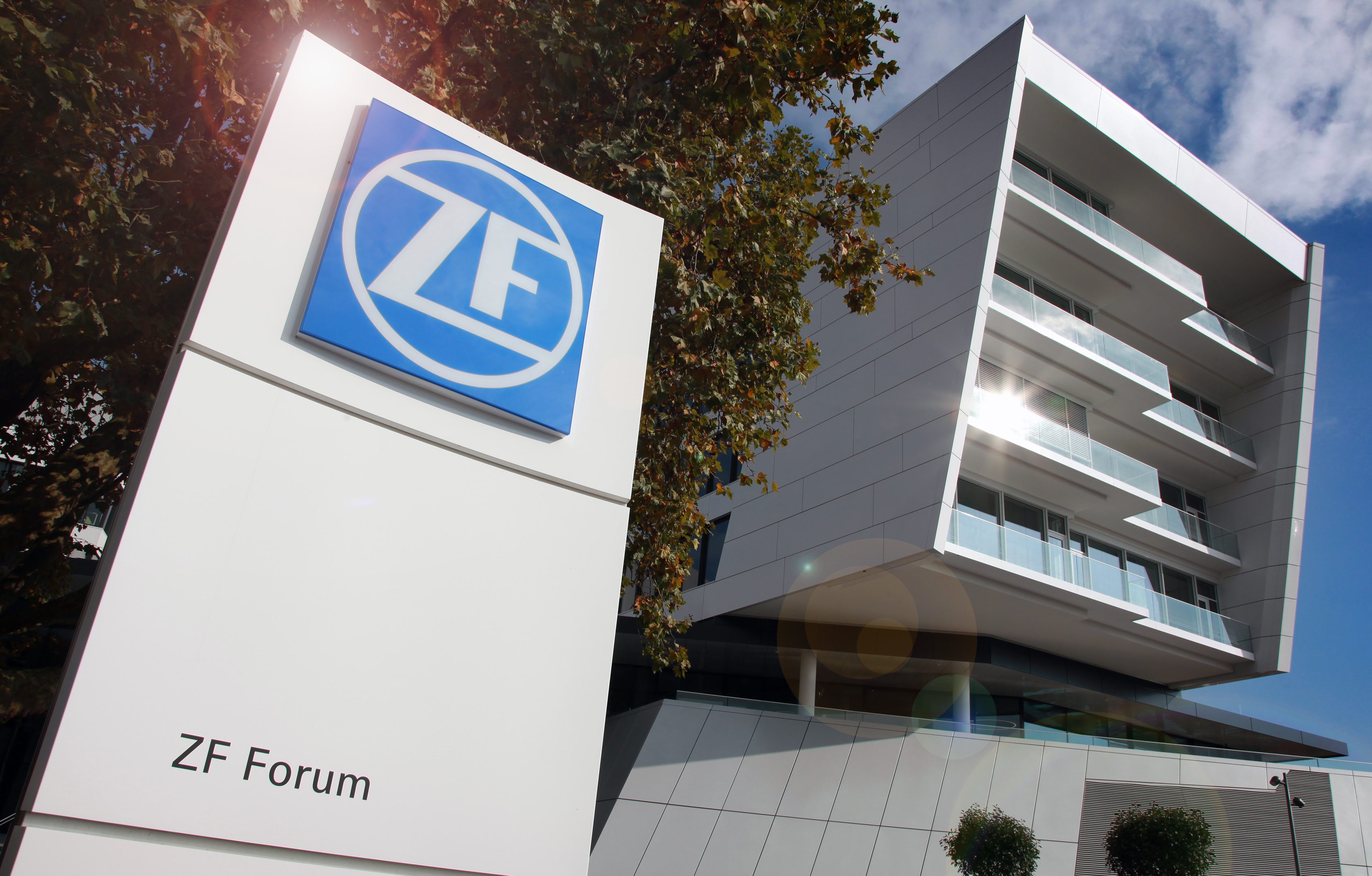 Grupo ZF